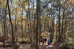 fall hike trail 