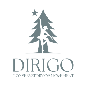 Dirigo logo