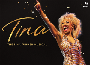 Tina Turner the Musical