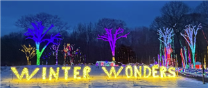 Winter Wonders